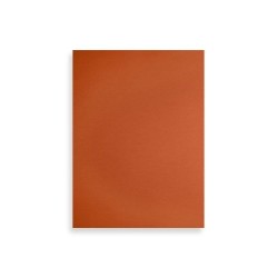 T.ENC.FABRIANO 23x32  CARTUL.NARJ.INT. P