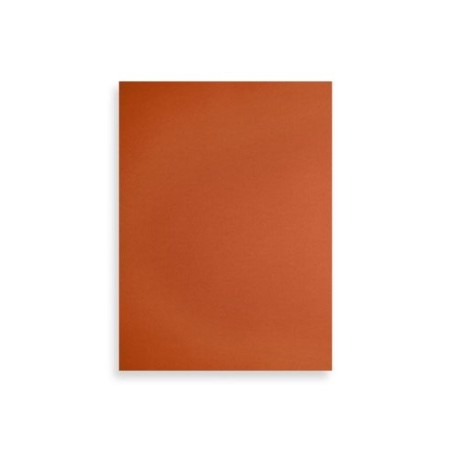 T.ENC.FABRIANO 23x32  CARTUL.NARJ.INT. P