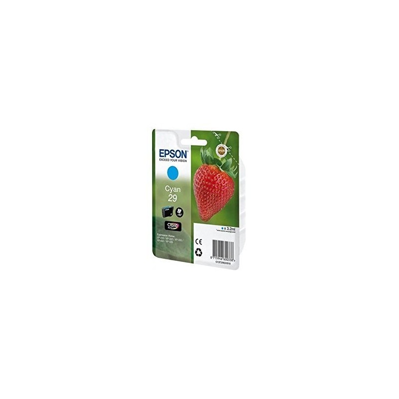 CART.IJ.EPSON T298240 Nº29 CIAN