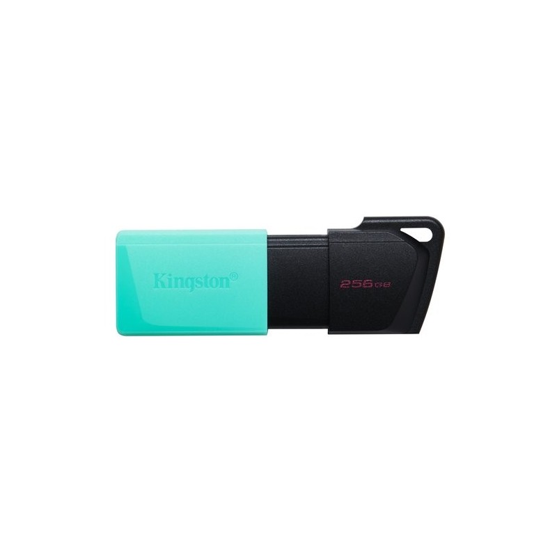 MEMORIA USB 256GB KINGSTON DTXM