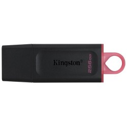 MEMORIA USB 256GB KINGSTON DTX/256GB