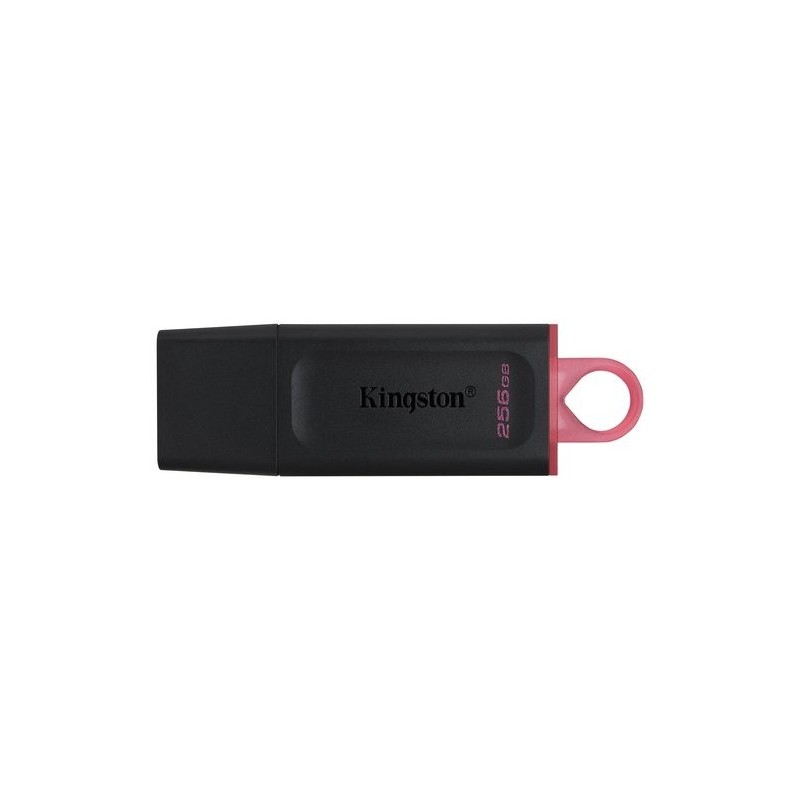 MEMORIA USB 256GB KINGSTON DTX/256GB