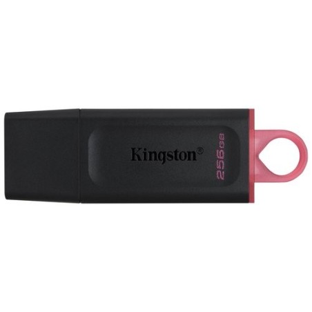 MEMORIA USB 256GB KINGSTON DTX/256GB